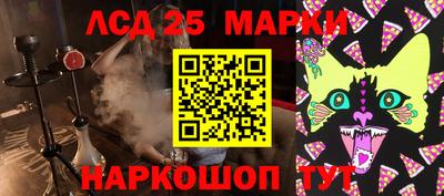 бошки Камышлов