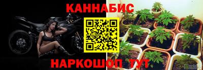 бошки Камышлов