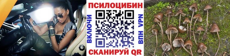 Псилоцибиновые грибы мухоморы  Родники 