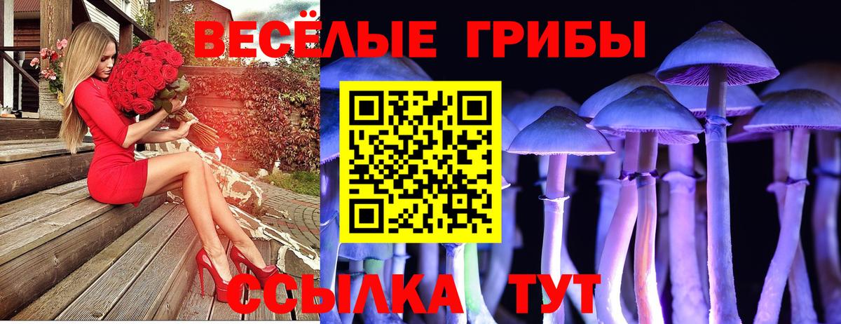 Галлюциногенные грибы ЛСД Родники