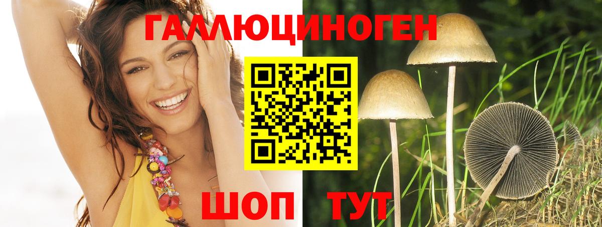 Псилоцибиновые грибы GOLDEN TEACHER  Вход с VPN  Родники  Псилоцибиновые грибы мицелий 